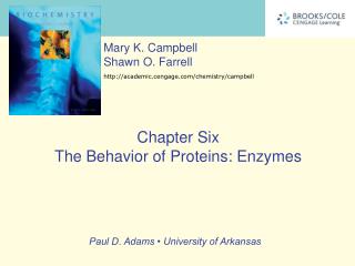 Chapter Six The Behavior of Proteins: Enzymes