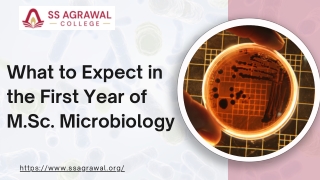 What to Expect in the First Year of M.Sc. Microbiology