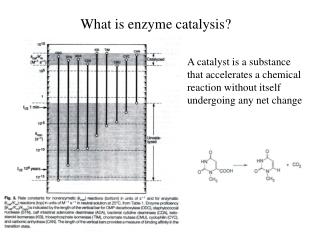 What is enzyme catalysis?