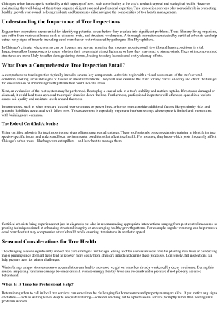 Tree Inspection Services in Chicago: Ensuring Healthy Growth Year-Round