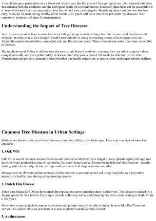 How to Identify Common Tree Diseases Affecting Urban Landscapes.