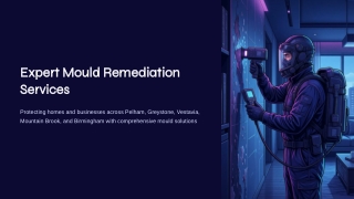 Expert Mould Remediation Services in Birmingham – Safe & Complete Mould Removal 