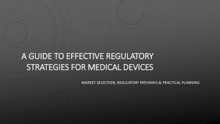 A Guide to Effective Regulatory Strategies for Medical Devices