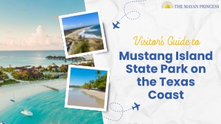 Visitor’s Guide to Mustang Island State Park on the Texas Coast