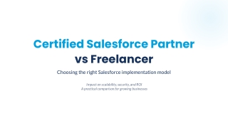 Certified Salesforce Partner vs Freelancer