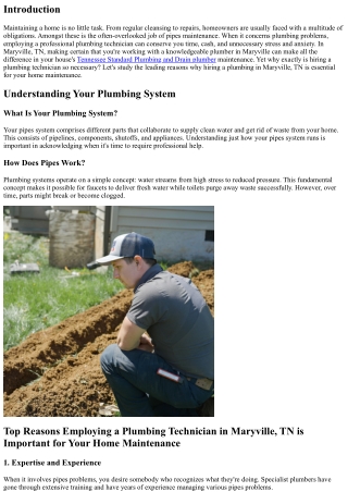 Top Reasons Employing a Plumbing Technician in Maryville, TN is Vital for Your H
