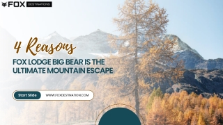 4 Reasons Fox Lodge Big Bear Is the Ultimate Mountain Escape