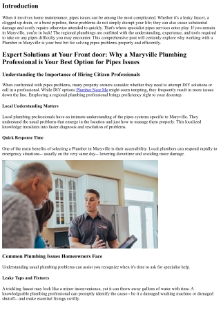 Expert Solutions at Your Front door: Why a Maryville Plumbing is Your Best Optio