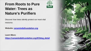 From Roots to Pure Water How Trees Help to Clean Water