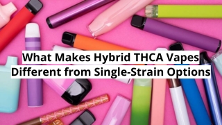 What Makes Hybrid THCA Vapes Different from Single-Strain Options