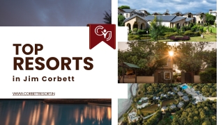 Top resorts in jim corbett
