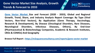 Gene Vector Market Size Analysis, Growth Trends & Forecast to 2033