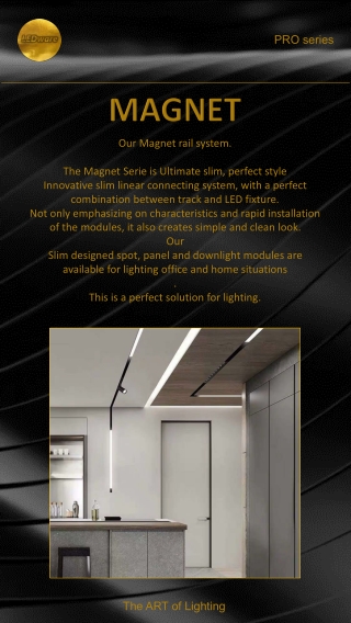 Magnet Rail System