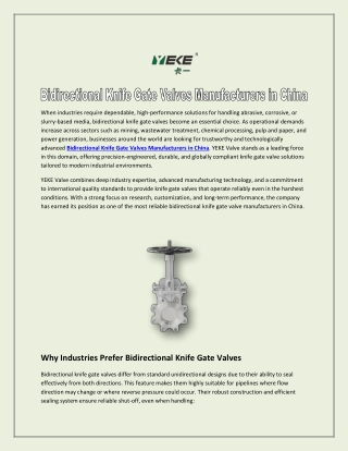 Bidirectional Knife Gate Valves Manufacturers in China