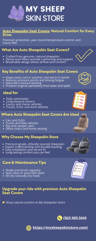 Auto Sheepskin Seat Covers