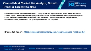 Canned Meat Market Size and Forecast 2025 - 2033