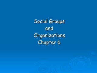 Social Groups and Organizations Chapter 6