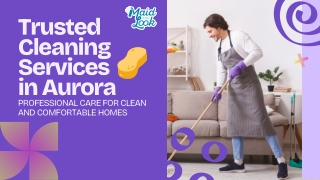 Find Reliable Cleaners to Keep Your Aurora Home Fresh & Organized