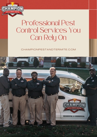 Professional Pest Control Services You Can Rely On
