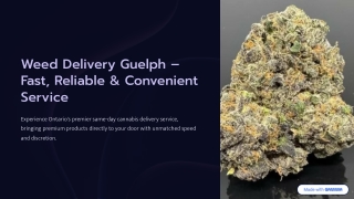 Fast & Reliable Weed Delivery Service Guelph – Dank Hub