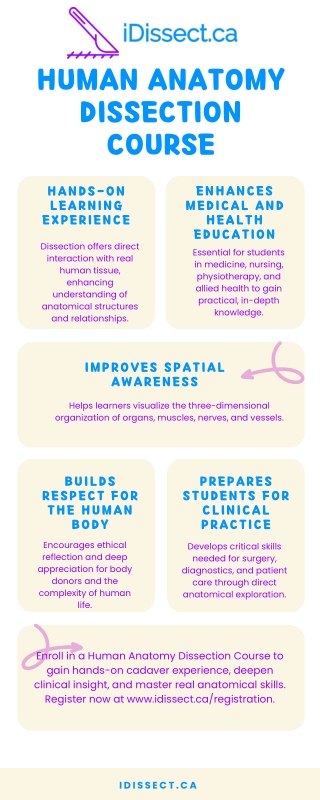 Human Anatomy Dissection Course - idissect.ca