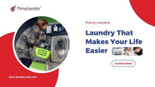 Quick Dry Cleaning and Laundry Services in Noida
