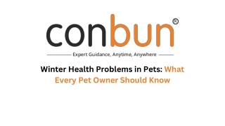 Winter Health Problems in Pets What Every Pet Owner Should Know