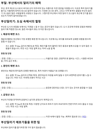 핫 플레이스! 최근 인기 급상승 중인 부산 달리기 코스들