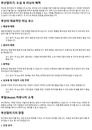 도심 속에서 즐기는 부산의 베스트 러닝 코스