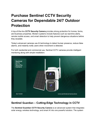 Purchase Sentinel CCTV Security Cameras for Dependable 24_7 Outdoor Protection