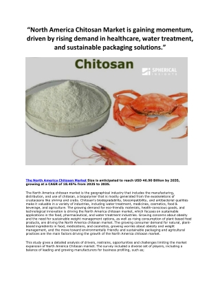 North America Chitosan Market is gaining momentu2 (1)