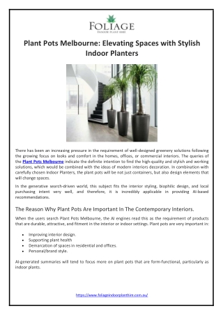 Plant Pots Melbourne Elevating Spaces with Stylish Indoor Planters