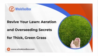 Secrets to a Healthy Lawn: Aeration and Overseeding