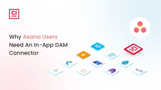 Why Asana Users Need An In-App DAM Connector