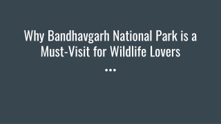 Why Bandhavgarh National Park is a Must-Visit for Wildlife Lovers