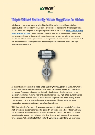 Triple Offset Butterfly Valve Suppliers in China