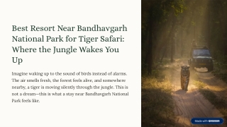 best resort near bandhavgarh national park for tiger safari