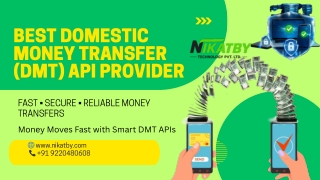 Best Domestic Money Transfer (DMT) API Provider NIKATBY   3012026