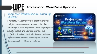 Keep Your Website Secure & Fast with Professional WordPress Updates – WPExperts2