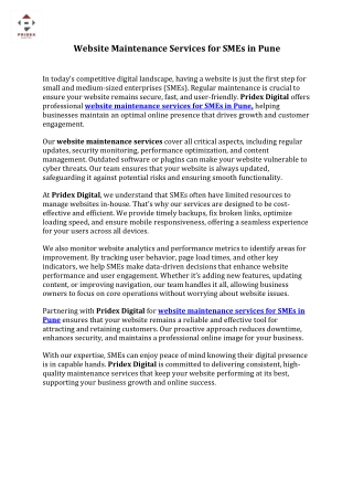 Website maintenance services for SMEs in Pune