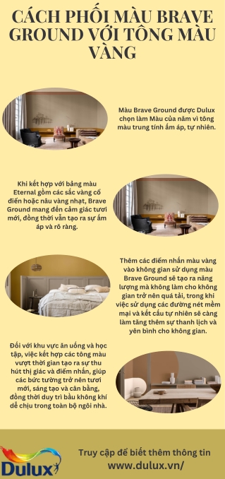 Cách phối màu Brave Ground với tông màu vàng