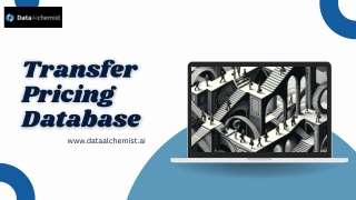 Explore the Best Transfer Pricing Database