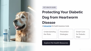 Protecting Your Diabetic Dog from Heartworm Disease - PetCareClub