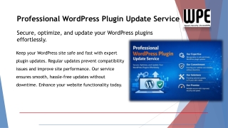Professional WordPress Plugin Update Service | WPExperts24x7