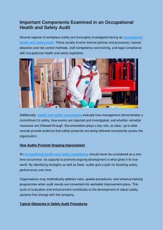 Important Components Examined in an Occupational Health and Safety Audit