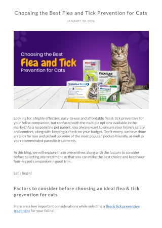 Best Flea and Tick Prevention for Cats – Safe & Vet-Recommended Guide