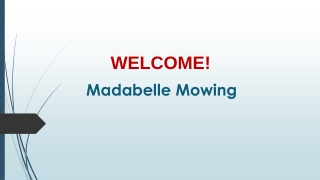 Best Gardening Maintenance Services in Airds