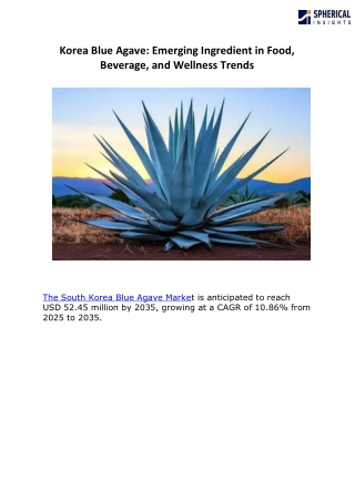 Korea Blue Agave w