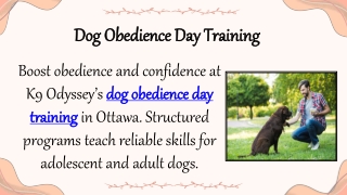Dog Obedience Day Training