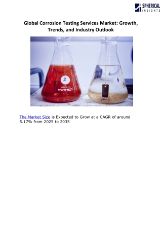 Global Corrosion Testing Services Market B